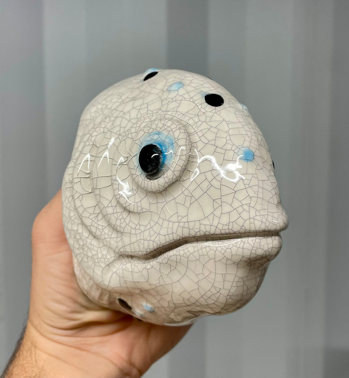 Fish