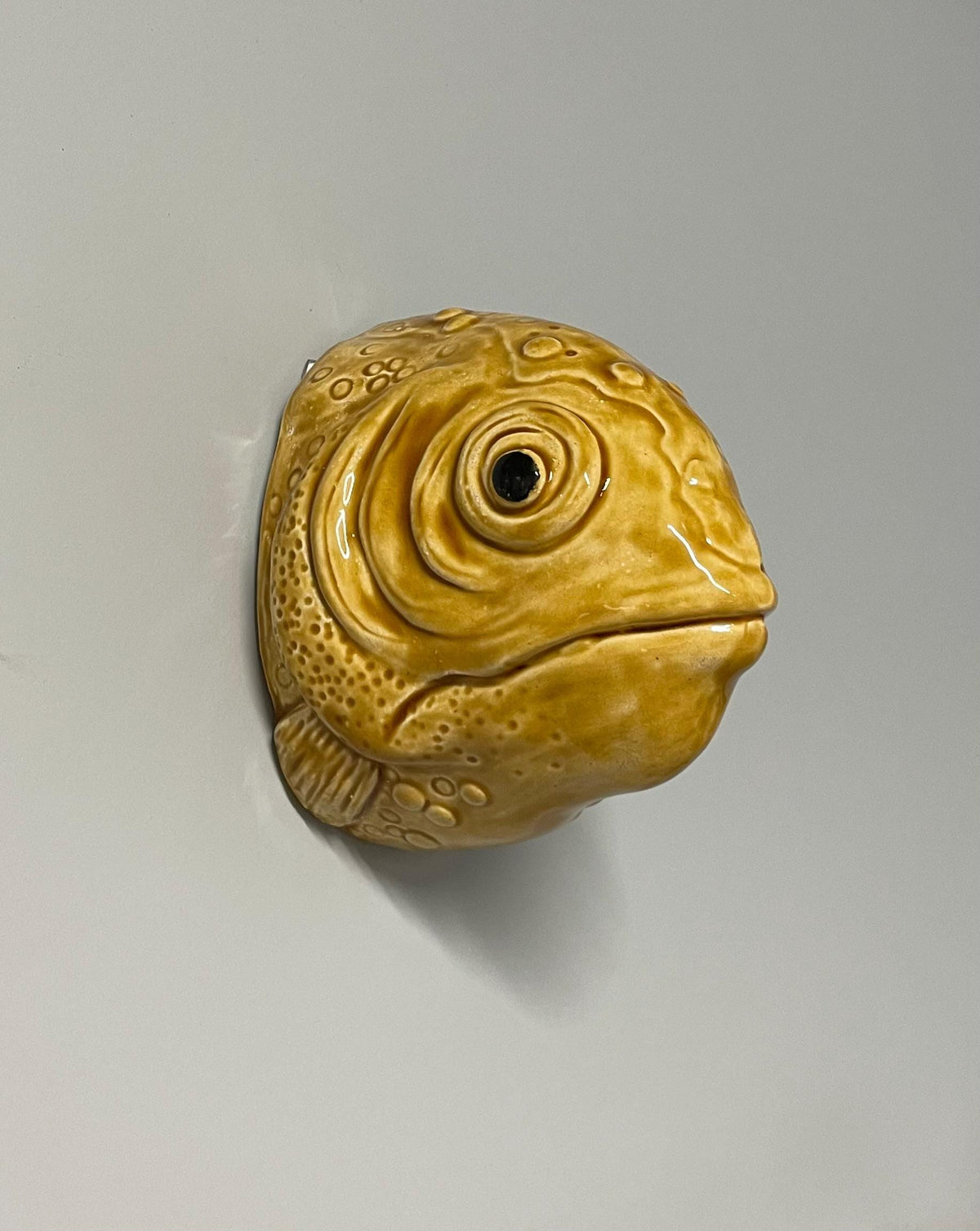 Handmade Fish ceramic wall sculpture by Jed Boyle.
