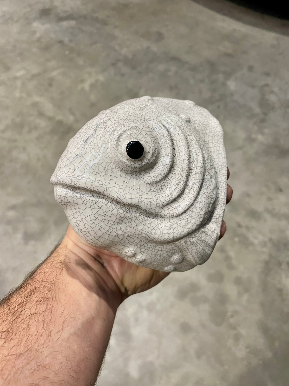 Fish